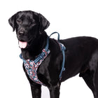 Truelove Floral No Pull Pet Harness - Navy Blazer