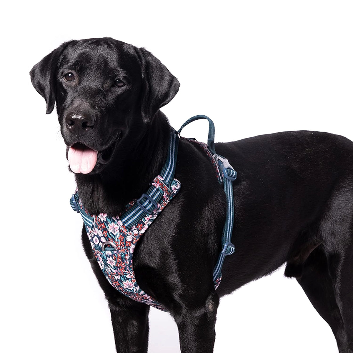 Truelove Floral No Pull Pet Harness - Navy Blazer