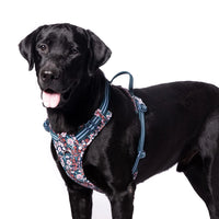 Truelove Floral No Pull Pet Harness - Navy Blazer