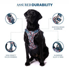 Truelove Floral No Pull Pet Harness - Navy Blazer