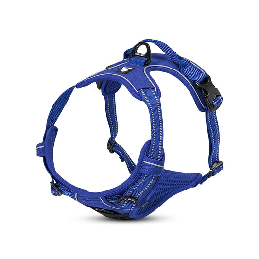 Truelove Classic Harness - Royal Blue