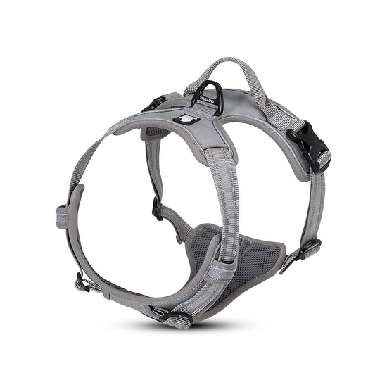 Truelove Classic Harness - Gray
