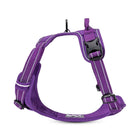 Truelove Classic No-Choke Padded Dog Harness with Control Handle (Purple)