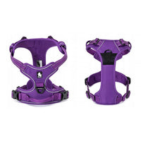 Truelove Classic Harness - Purple