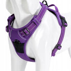 Truelove Classic No-Choke Padded Dog Harness with Control Handle (Purple)