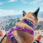 Truelove Classic No-Choke Padded Dog Harness with Control Handle (Purple)