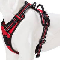 Truelove Classic Dog Harness - Red