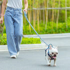 Truelove Floral Pet Leash,Multi-Handle - Saxony Blue
