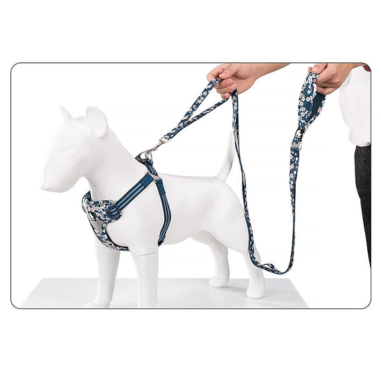 Truelove Floral Pet Leash,Multi-Handle - Saxony Blue