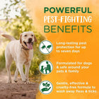 Tropiclean Natural Flea & Tick Plus Soothing Dog Shampoo - 355ml - Zigly