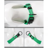 Truelove Classic Collar - Grass Green