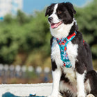 Truelove Special Edition No-Pull Padded Dog Harness (Camouflage Blue)