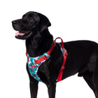 Truelove Special Edition No-Pull Padded Dog Harness (Camouflage Blue)
