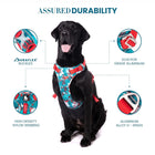 Truelove Special Edition No-Pull Padded Dog Harness (Camouflage Blue)