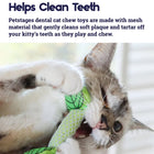 Outward Hound Fresh Breath Mint Stick Cat Toy - 11cm - Zigly