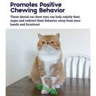 Outward Hound Fresh Breath Mint Stick Cat Toy - 11cm - Zigly