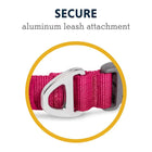 Ruffwear Front Range Collar Hibiscus Pink Dog Collar - Zigly