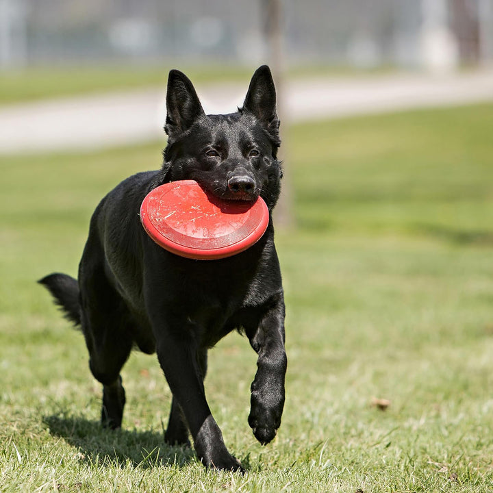 Kong Rubber Flyer Fetch Dog Toy Red – Large
