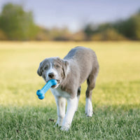 Kong Puppy Goodie Bone Interactive Chew Dog Toy – Small