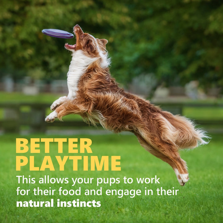 Kong Wobbler Treat Dispensing Interactive Dog Toy - Red