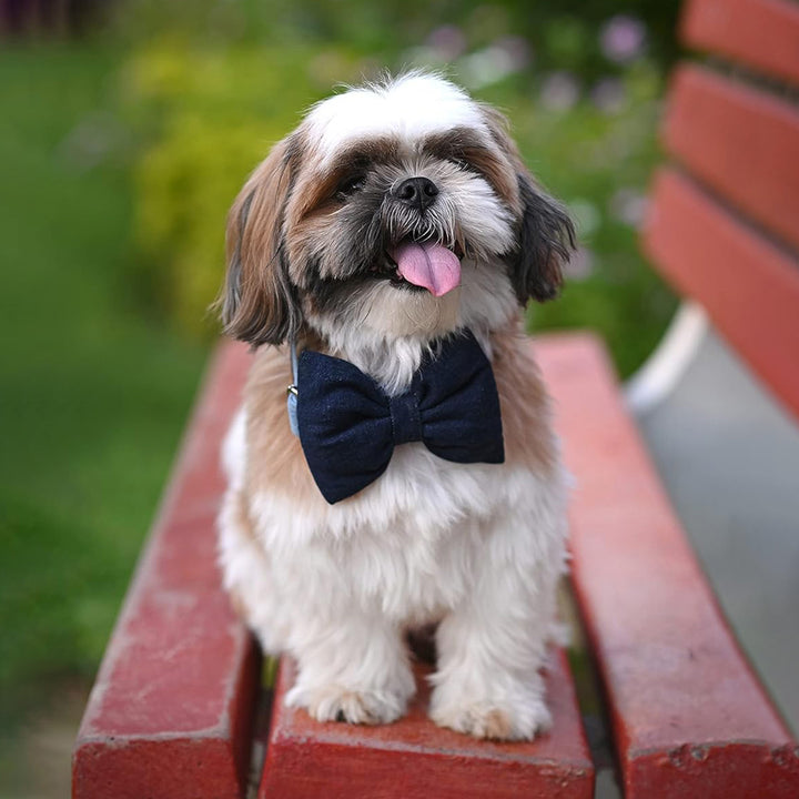 Mutt Of course Denim Dark Blue Bow Tie