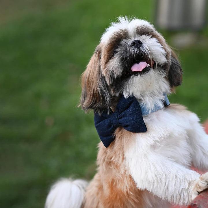 Mutt Of course Denim Dark Blue Bow Tie