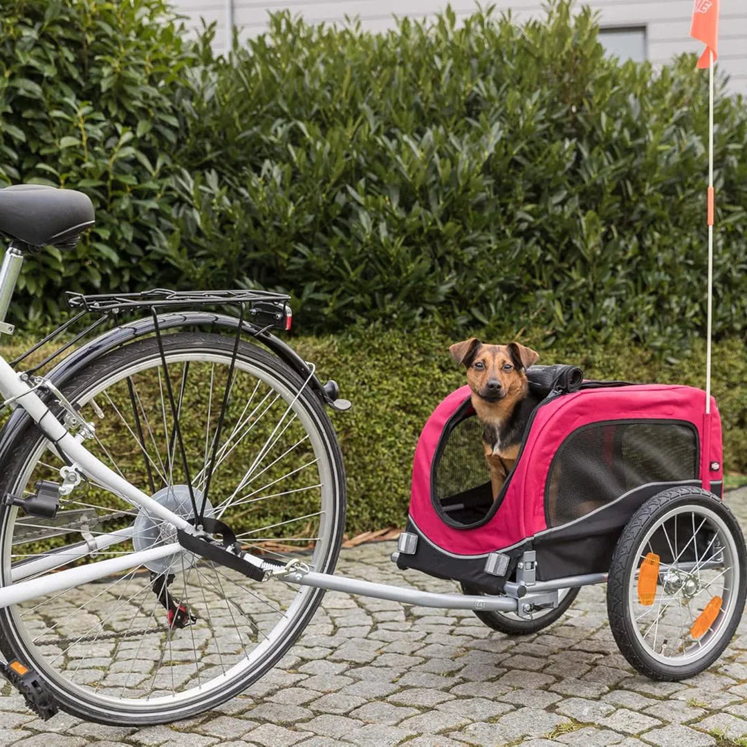 Small brown dog sitting in pink pet bike trailer attached to bicycle on paved path with green hedge background zigly