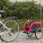 Small brown dog sitting in pink pet bike trailer attached to bicycle on paved path with green hedge background zigly