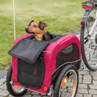 Small brown dog sitting in red pet bike trailer attached to bicycle outdoors on cobblestone path zigly
