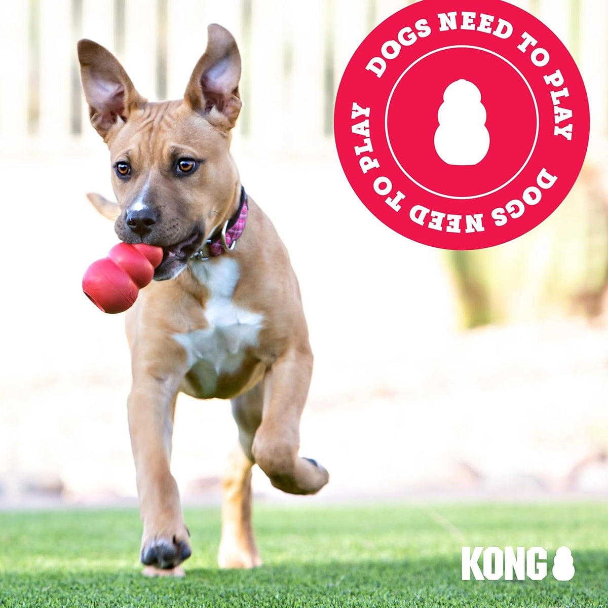 Kong Jumbler Football Dog Toy – Large