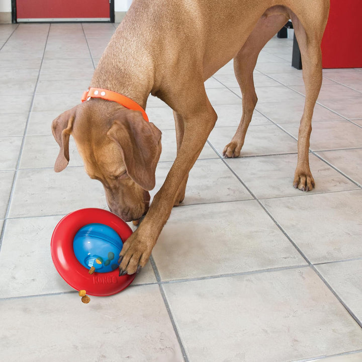 Kong Gyro Treat Dispensing Interactive Dog Toy - Large
