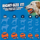 Chuckit! Sport Ball Launcher  Assorted Colours  25 inch length - Zigly