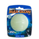 Petmate Chuckit! Max Glow in Dark Ball Fetch Dog Toy - Medium