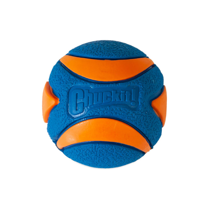 Chuckit! Ultra Squeaker Ball Dog Toy - Medium