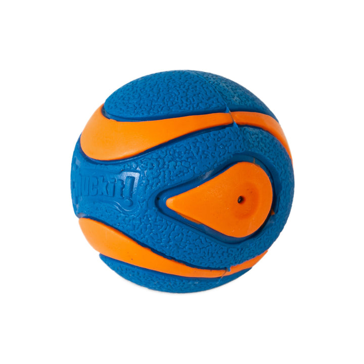 Chuckit! Ultra Squeaker Ball Dog Toy - Medium