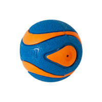 Chuckit! Ultra Squeaker Ball Dog Toy - Medium