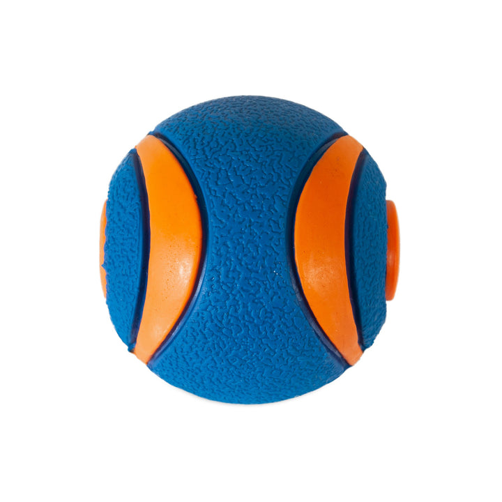 Chuckit! Ultra Squeaker Ball Dog Toy - Medium