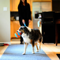 Petmate Chuckit! Indoor Ball Fetch Dog Toy