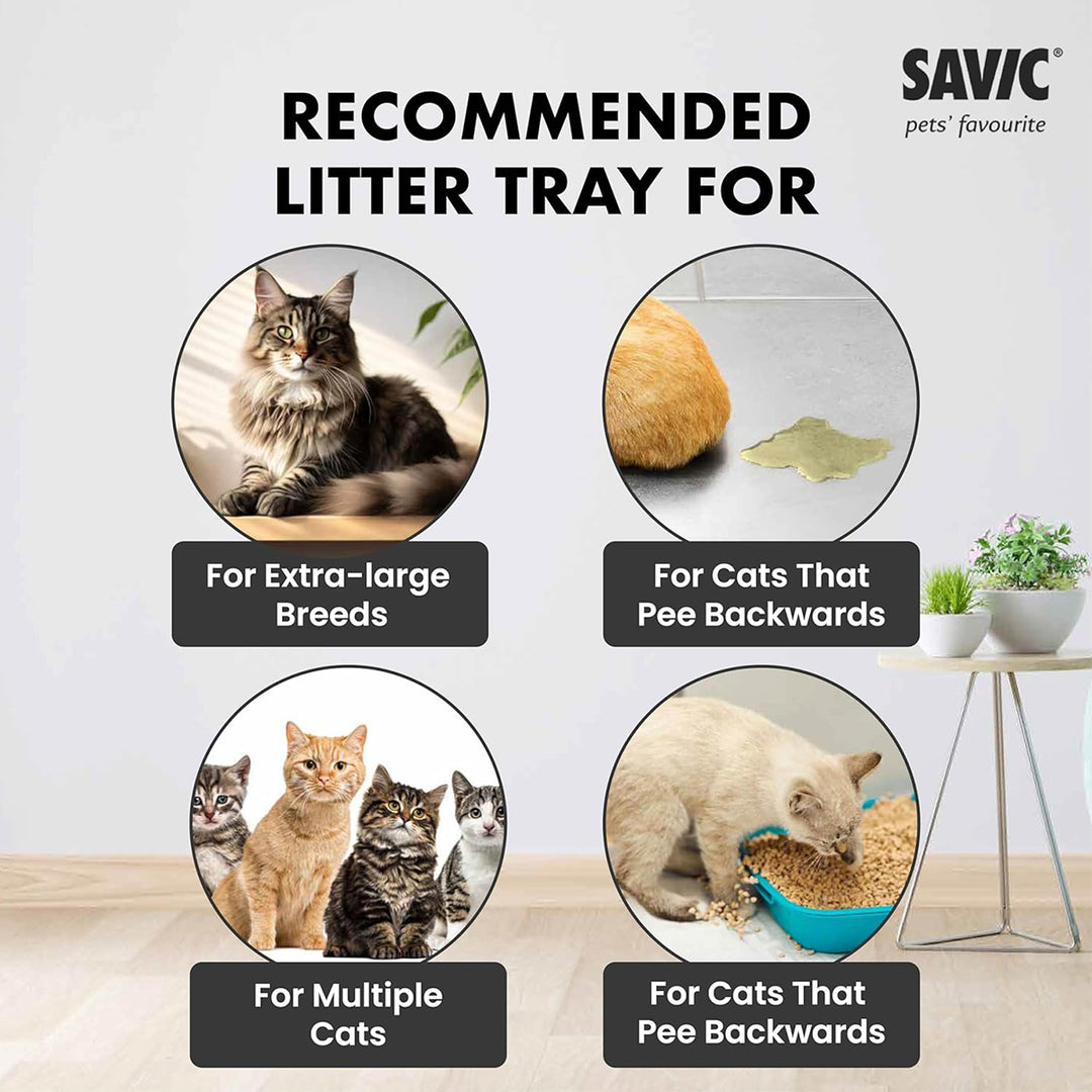 Savic Aseo Jumbo Litter Tray - 68.5 X 48.2 X 27.9cm - Cool Grey