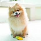 Fofos Vegi-Bites Corn Squeaky Chew Dog Toy - Small - Zigly