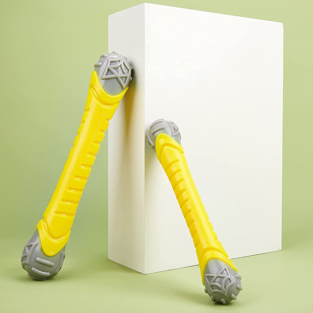 Fofos Flexy Bone Chew Dog Toy