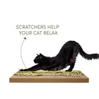 Fofos Comic String Scratcher - Zigly