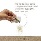 Fofos Comic String Scratcher - Zigly