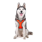 Whoof Whoof Bottom Padded Harness - Orange - Zigly