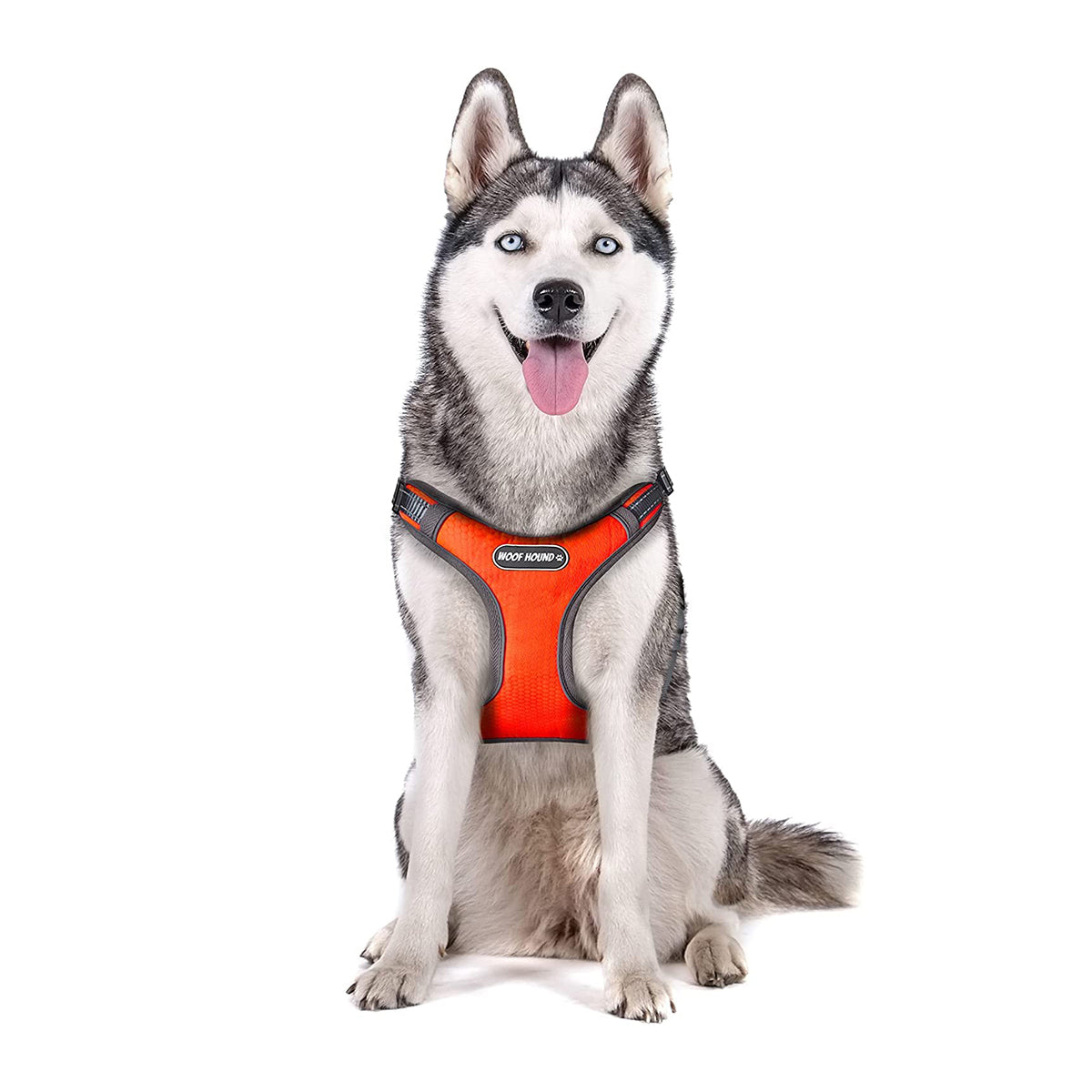 whoof-whoof-bottom-padded-harness-s-orange