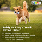 Outward Hound Chew Crunch Core Bone Dog Toy