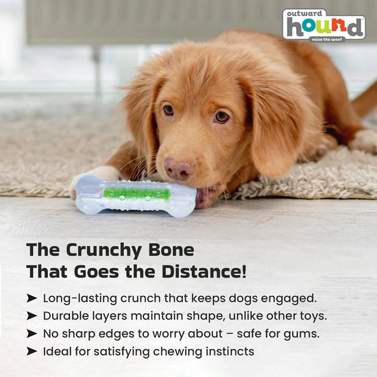 Outward Hound Chew Crunch Core Bone Dog Toy