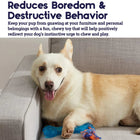 Petstages Orka Bone Dog Toy - Zigly