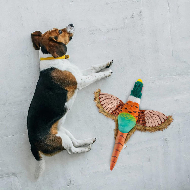 Fofos Pheasant Plush Dog Toy