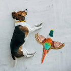 Fofos Pheasant Plush Dog Toy - Zigly